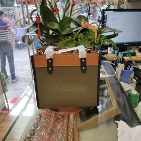 女托特包小号5598