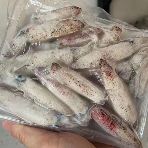 【直发】灯管小鱿鱼 商品图3
