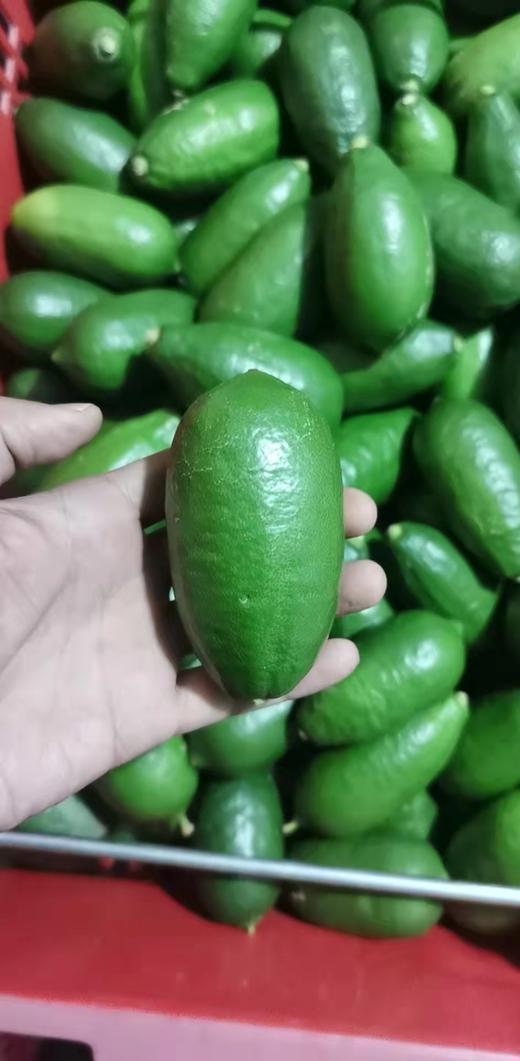 云南香水柠檬 商品图1