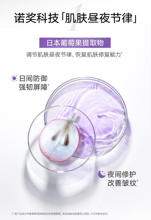 丸美日本珠臻皙奢系列单品 商品图2