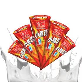 秒杀4.99元10只雪汇冰淇淋小脆筒（预订19号提货）