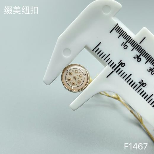 F1467(整包购买) 商品图3