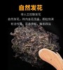 泾阳茯茶(100g/袋&300g/罐)丨块泡茯茶丨金花茂盛丨花香菌香浓郁丨自营丨慧 商品缩略图1