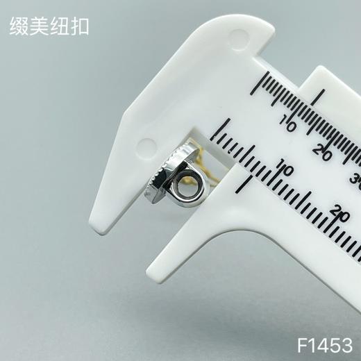 F1453(整包购买) 商品图4