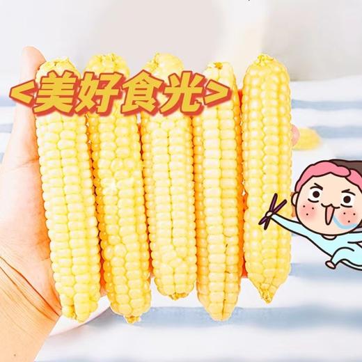 西双版纳有机拇指小玉米1公斤礼盒装 商品图1