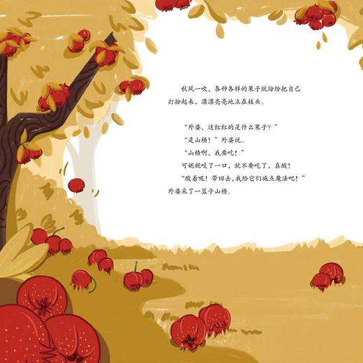 好食光：秋果/谢华 商品图5