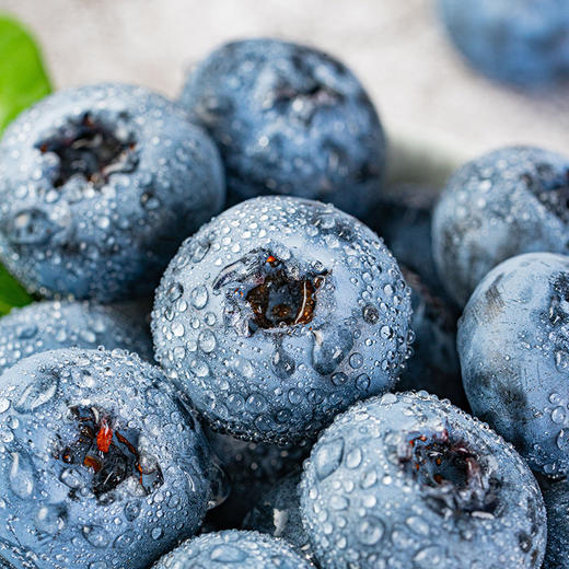 露天公爵蓝莓 果肉爽脆 风味十足125克*4盒 商品图2