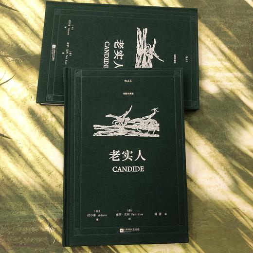 后浪正版 老实人（插图珍藏版）后浪插图经典系列名家名译名画 收录传世插画精心打磨译本 “法国版堂吉诃德”讽刺哲理小说里程碑代表 尘嚣乱世你我如何安身立命 商品图5