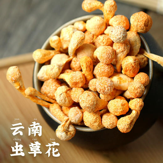 虫草花孢子头250g