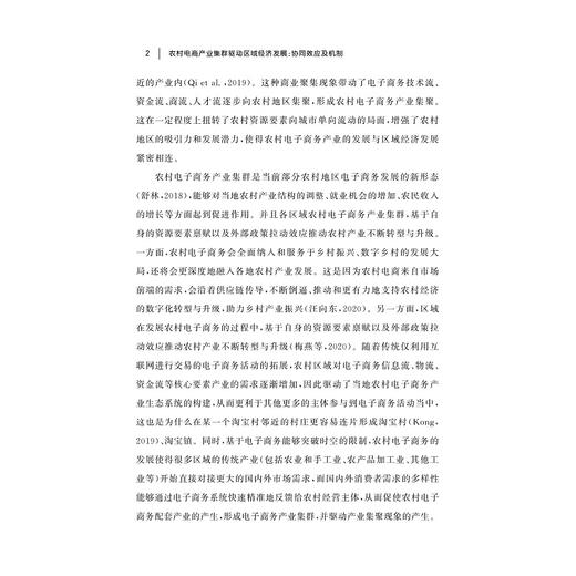 农村电商产业集群驱动区域经济发展：协同效应及机制/梅燕/蒋雨清/浙江大学出版社 商品图2