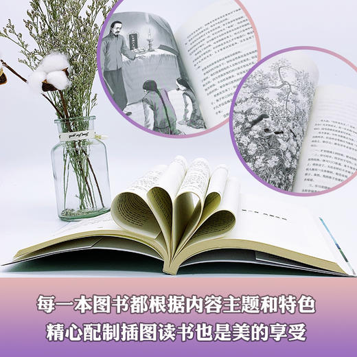(仓发) （四年级）天窗：茅盾儿童文学精选（小学语文教科书同步阅读书系）/长江文艺出版社/茅盾/9787570213436 商品图1