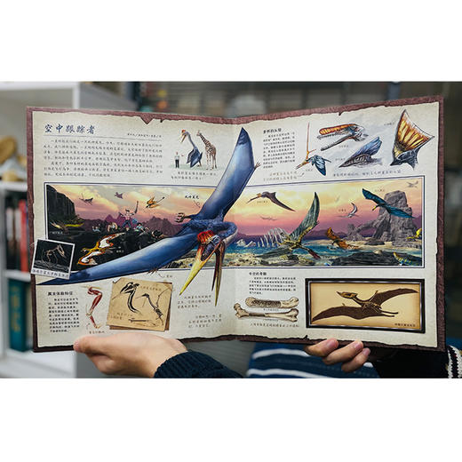 恐龙寻踪：误入未知世界 商品图3