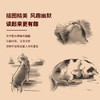 (仓发) 猫咪心事1：猫咪行为问答/北京理工大学出版社/[美]雅顿·摩尔/9787568268523 商品缩略图4