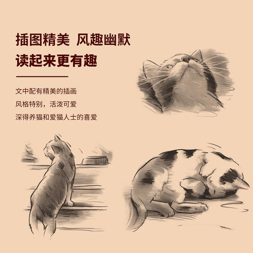 (仓发) 猫咪心事1：猫咪行为问答/北京理工大学出版社/[美]雅顿·摩尔/9787568268523 商品图4
