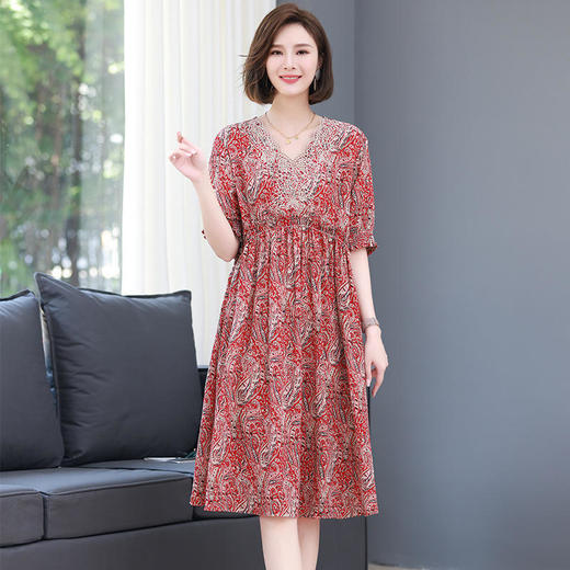 HR WL17109印花连衣裙复古气质显瘦设计感休闲裙 商品图1