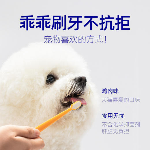 小白牙益生菌牙膏牙刷套装（犬猫通用）洁齿去牙垢，安心可食 商品图2