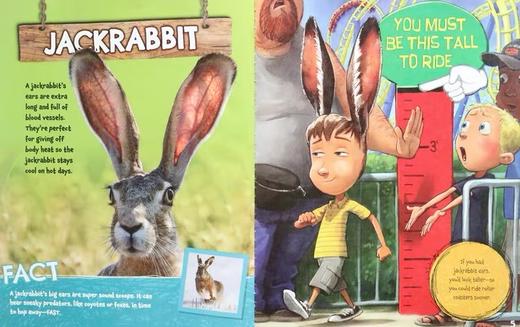 【宝莉爹书单·5-12岁】英文原版科普 11册大全套 What If You Had Animal Tongue/Ears/Teeth/Hair/Feet/Eyes/Nose 儿童科普绘本 商品图2