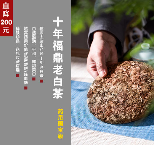 十年陈福鼎老白茶超级稀缺型2010年福鼎老白茶口感朴实温和超高收藏