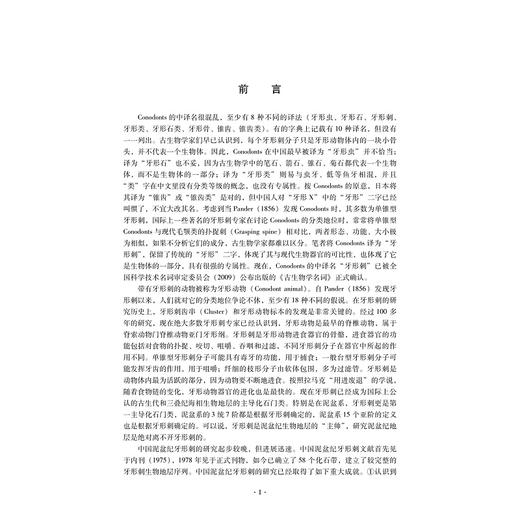 中国泥盆纪牙形刺(精)/王成源/浙江大学出版社 商品图2