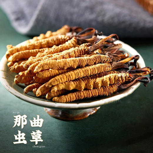 【冬虫夏草】正宗西藏那曲野生虫草 商品图0