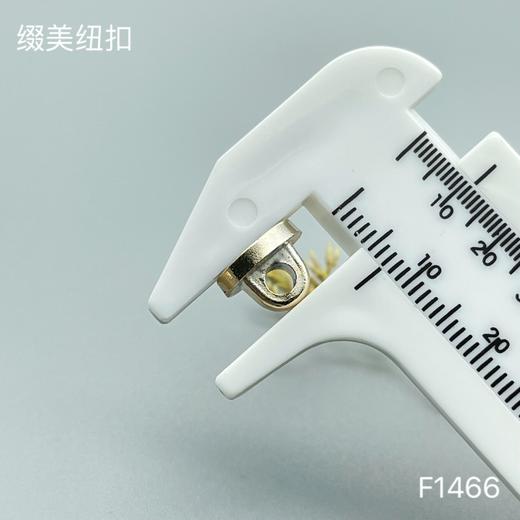 F1466(整包购买) 商品图4