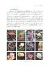浙江大学校园大型真菌图谱/浙江大学出版社/朱旭芬/林文飞/霍颖异 商品缩略图4