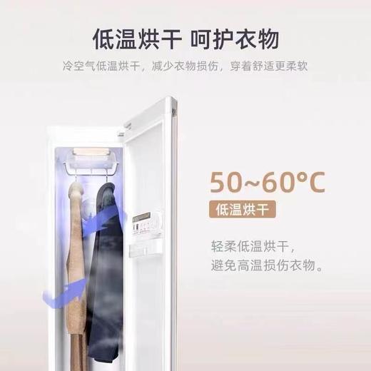 斐郡/FreDream 智能衣物护理机 烘干机家用 干衣机衣服干洗蒸汽熨烫除菌机 紫外线杀菌消毒 E00D 浅金色（直排式烘干方式） 商品图2