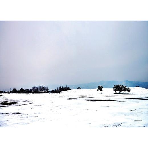 良渚的诗/张海龙/责编:陈丽霞/浙江大学出版社 商品图3