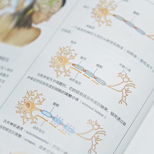 津巴多普通心理学 第8版 商品图12