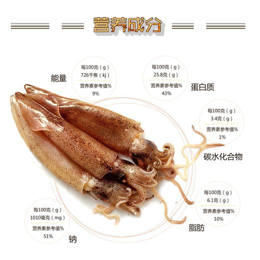 【直发】灯管小鱿鱼 商品图4