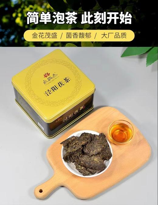 泾阳茯茶(100g/袋&300g/罐)丨块泡茯茶丨金花茂盛丨花香菌香浓郁丨自营丨慧 商品图2