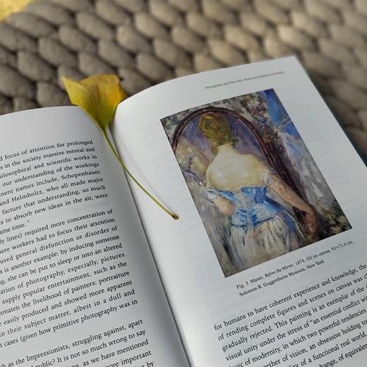 (仓发) 艺术史与艺术哲学（第二辑）/商务印书馆/沈语冰/9787100202633 商品图9