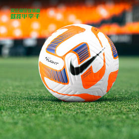 NIKE/耐克 NK FLIGHT - FA22 足球DN3595100