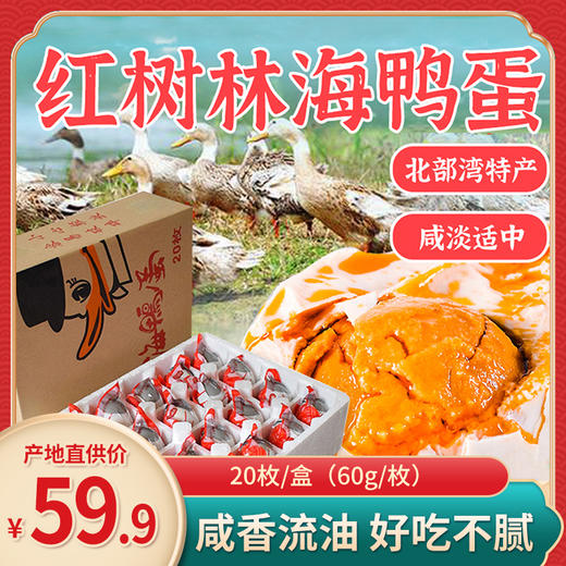 【广西海鸭蛋】广西北部湾红树林海鸭蛋 60g/枚 双角兽海鸭蛋 商品图0