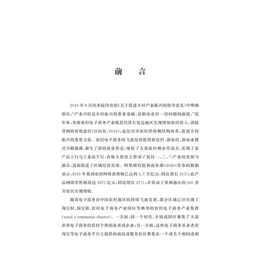 农村电商产业集群驱动区域经济发展：协同效应及机制/梅燕/蒋雨清/浙江大学出版社 商品图1