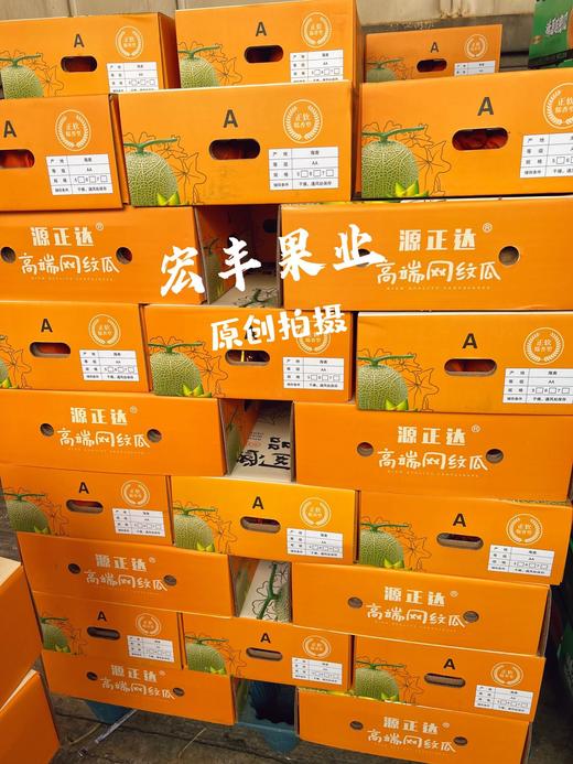 宏丰精选产地直发醇蜜瓜绿肉口感绵甜如蜜活动价68一斤