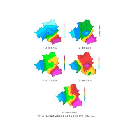 绍兴台风/王德鸿/浙江大学出版社 商品图5