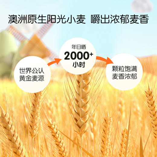 伊威营养辅食面200g（多款口味） 商品图3