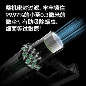 戴森(Dyson) V10 Fluffy Extra手持无线吸尘器 除螨 宠物 家庭适用