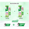好来（原黑人）茶倍健牙膏(茉莉白茶)90g（1601002） 商品缩略图2