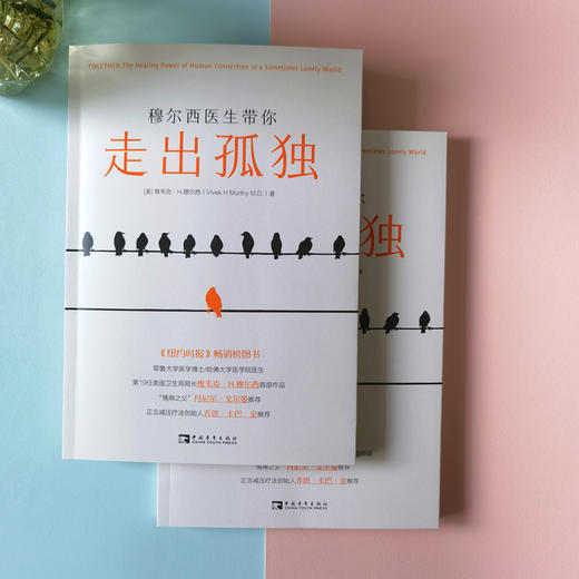 穆尔西医生带你走出孤独 商品图3
