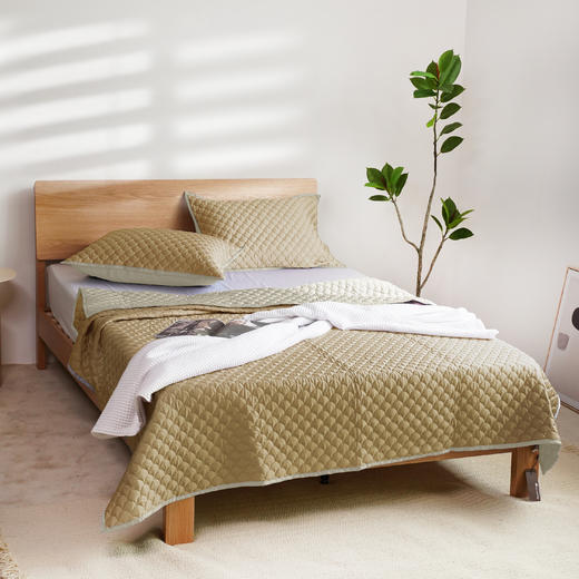 冰肌裸感床盖三件套竹纤维绗缝床盖枕套素色简约200*230 商品图3