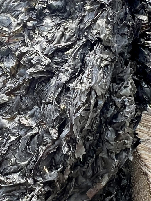 无盐无添加 野生紫菜 蛋白含量丰富 补钙补锌 |百里食 商品图1