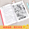 (仓发) 两个小八路 红色经典书籍 小学生革命传统教育读本 三四五六年级课外阅读必读书目 红色经典儿童读物 北京教育出版社/北京教育出版社/李心田/9787570408313 商品缩略图3