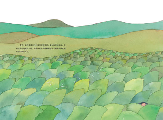 塞罕坝的树   1年级书目|正版现货速发|名师推荐|小学生课外阅读一年级 商品图1