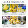 【已下架】喜善花房 冻干柠檬片无添加0蔗糖不加蜂蜜50g*9袋[福利品] 商品缩略图3