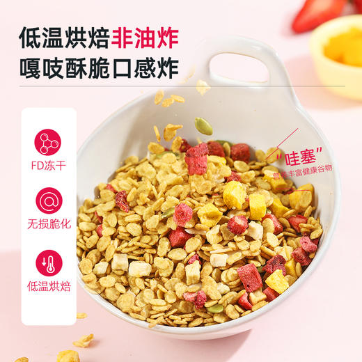 璞匠草莓芒芒乐水果苦荞麦片冲饮麦片坚果即食早餐干吃饱腹代餐 商品图3