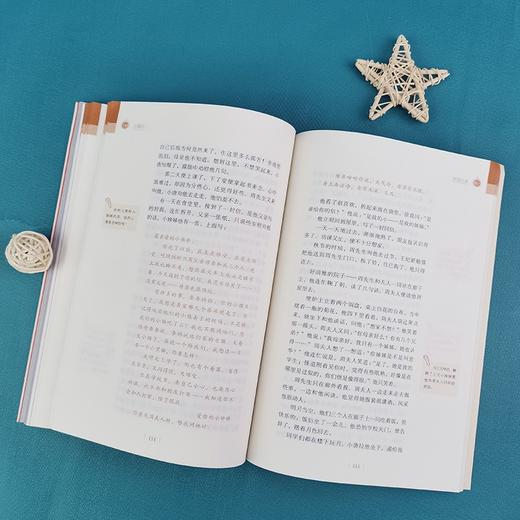 (仓发) 小橘灯 学生课外阅读指导丛书 附带阅读耐力记录表 商务印书馆/商务印书馆/冰心/9787100194433 商品图8