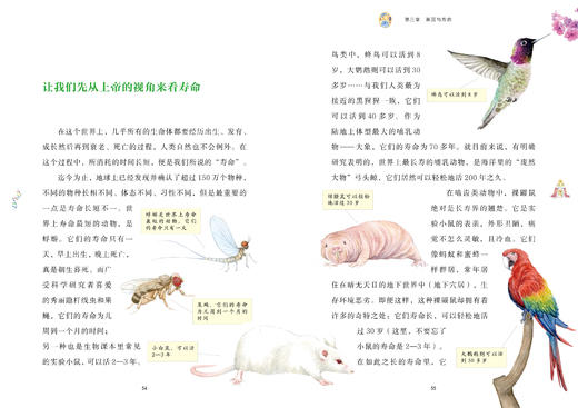 基因狂想曲   8年级书目|正版现货速发|名师推荐|小学生课外阅读八年级 商品图1