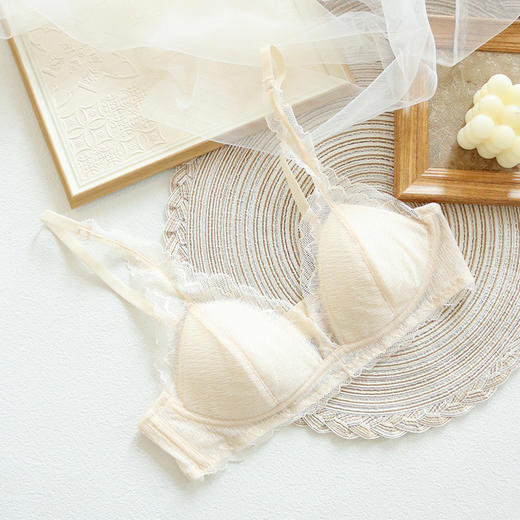 TG-TG02S142真丝内衣女无钢圈法式性感桑蚕丝蕾丝文胸显胸小薄款女三角杯 商品图7